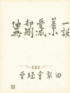 他却爱着一个他无删减小说