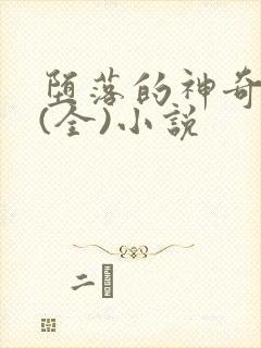 堕落的神奇女侠(全)小说