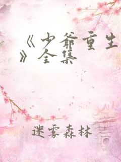 《少爷重生归来》全集