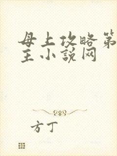 母上攻略第一版主小说网