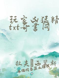 玩家凶猛精校版txt奇书网