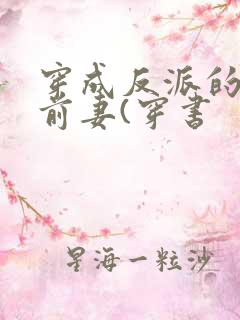 穿成反派的炮灰前妻(穿书