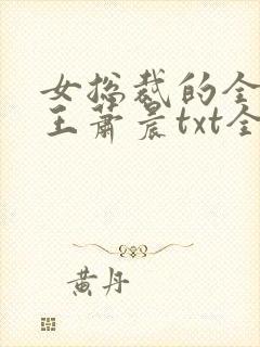 女总裁的全能兵王萧晨txt全集小说