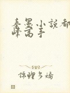 秦墨小说都市巅峰高手