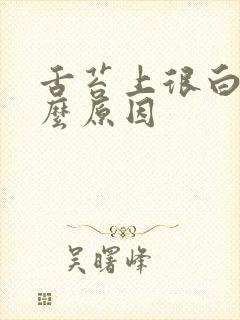 舌苔上很白是什么原因