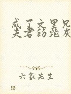 成了文里兄长和夫君的炮灰女配