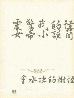 震惊我的徒弟是女帝小说简介