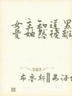 女主知道男主不爱她然后离开