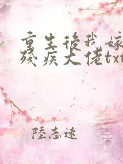重生后我嫁给了残疾大佬txt