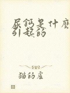 尿钙是什么原因引起的