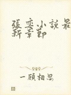 张奕小说最新更新章节