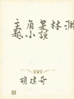 主角是林渊的穿越小说