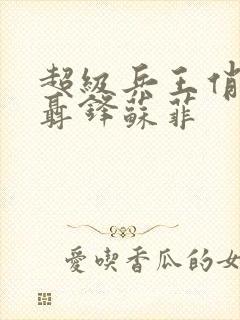 超级兵王俏总裁聂锋苏菲