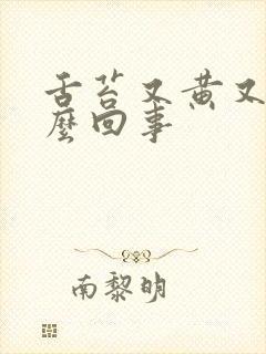 舌苔又黄又腻怎么回事