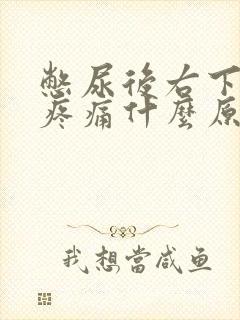 憋尿后右下腹部疼痛什么原因