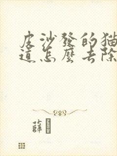 皮沙发的猫尿味道怎么去除