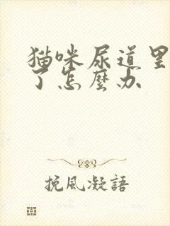 猫咪尿道里面堵了怎么办