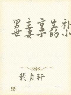 男主重生补偿前世妻子的小说