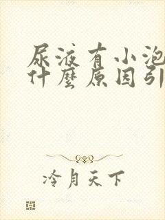 尿液有小泡泡是什么原因引起的