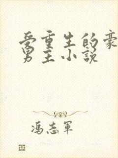 受重生的豪门双男主小说