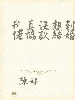 我真没想到和大佬协议结婚txt