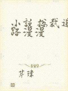 小说 总裁追妻路漫漫