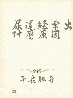 尿道经常出血是什么原因