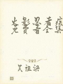 火影忍者疾风传免费看全集