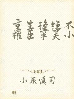 重生后绝不嫁给权臣宁芙小说阅读