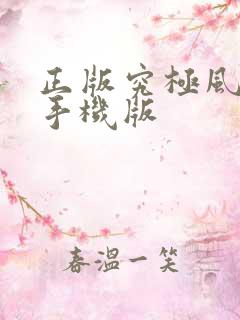 正版究极风暴4手机版