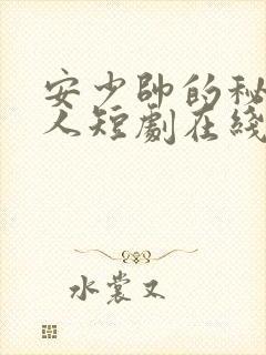 安少帅的秘密情人短剧在线观看免费