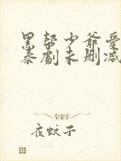 黑帮少爷爱上我泰剧未删减