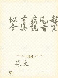 纵有疾风起在线全集观看完整版