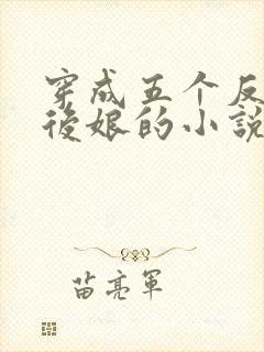 穿成五个反派的后娘的小说