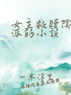 女主救赎阴暗反派的小说