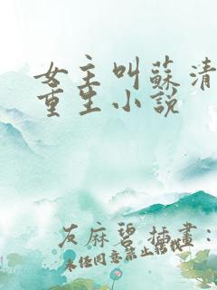 女主叫苏清婉的重生小说