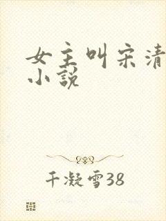 女主叫宋清欢的小说