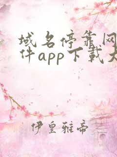 域名停靠网站软件app下载大全