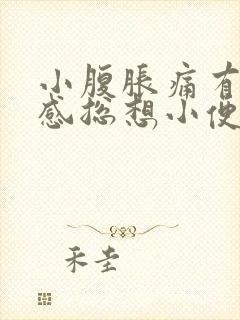 小腹胀痛有下坠感总想小便