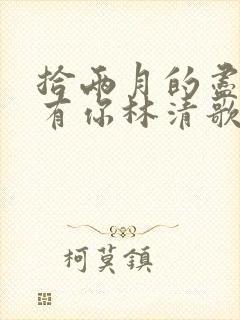 拾两月的尽头没有你林清歌大结局哪里看