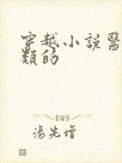 穿越小说医生之类的