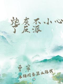 炮灰不小心攻略了反派