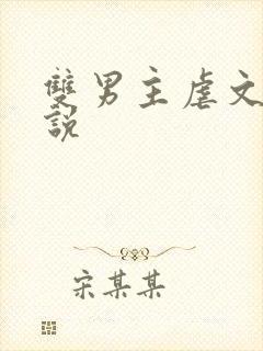 双男主虐文 小说