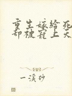 重生嫁给死对头却被宠上天在线