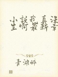 小说我真没想重生啊最新章节目录