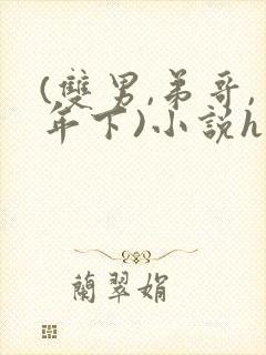 (双男,弟哥,年下)小说h