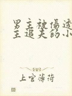 男主被伤透心女主追夫的小说推荐