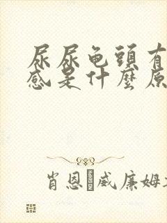 尿尿龟头有灼烧感是什么原因