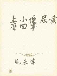 上小便尿黄是怎么回事