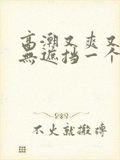 高潮又爽又黄又无遮挡一个人看的